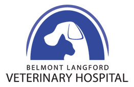 Belmont Langford Veterinary Hospital