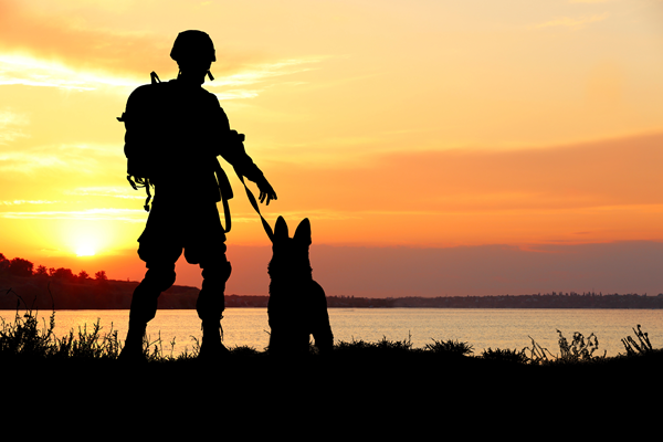 image for Honoring Animal Heroes in Military Service: Past and Present